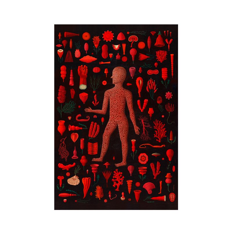 L'HOMME VÉGÉTAL