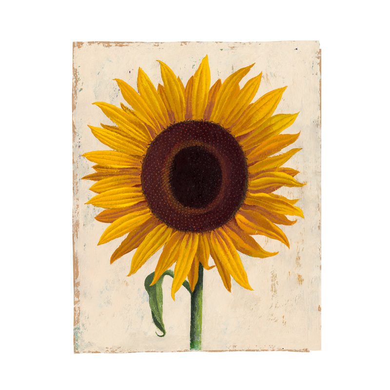 TOURNESOL
