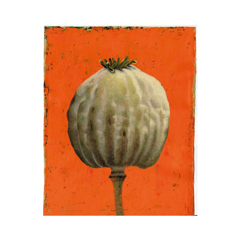 ORANGE POPPY SEED