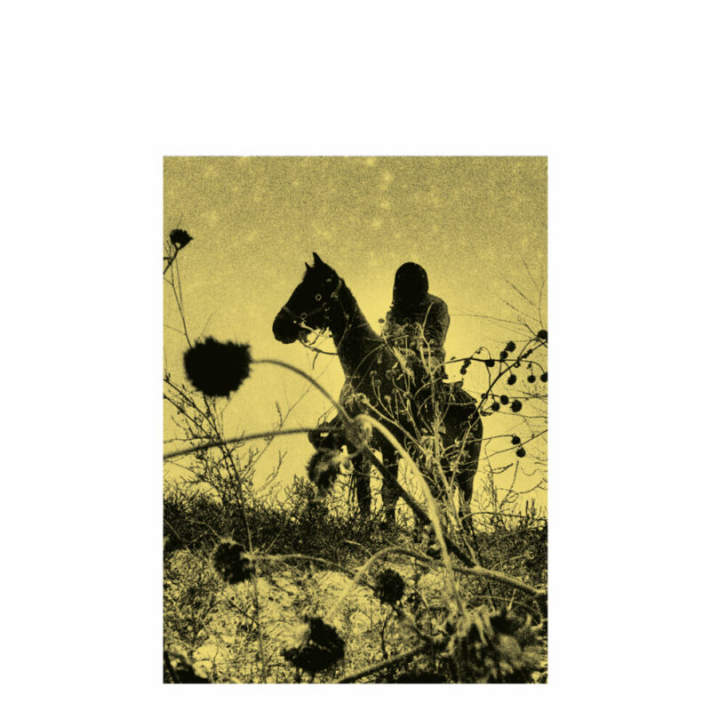 aux ombres