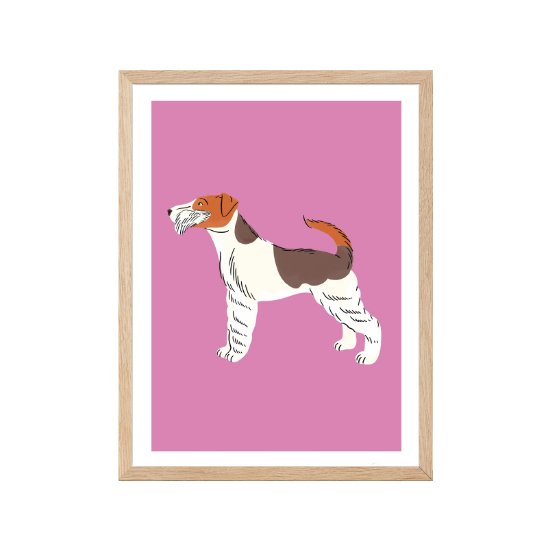 corgi