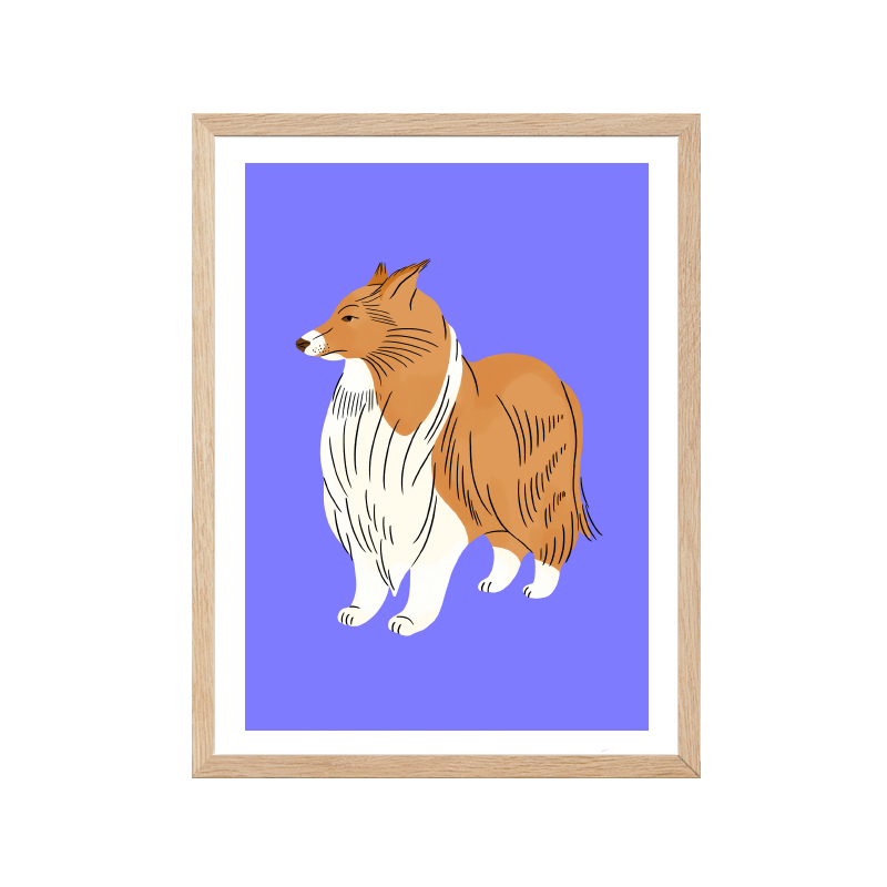 corgi