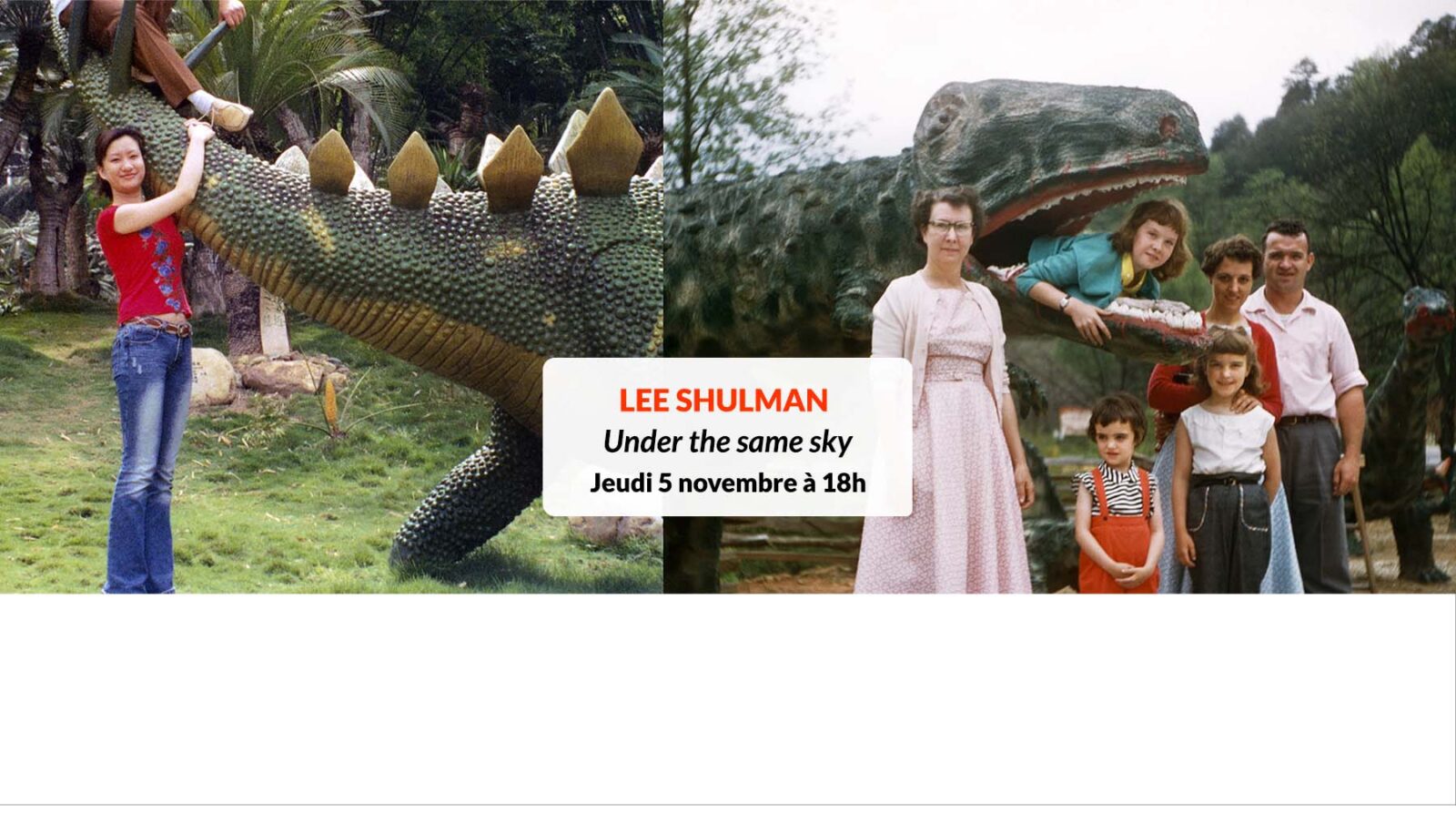 caroussel lee shulman